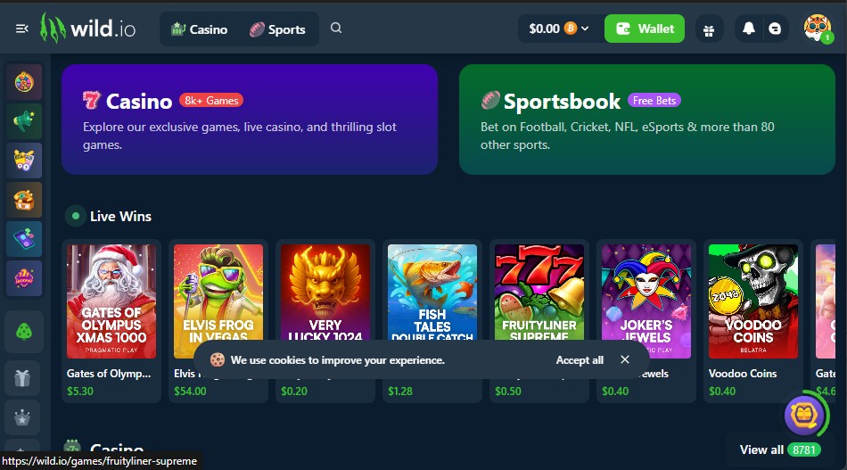 Wild.io Casino homepage welcome package crypto casino